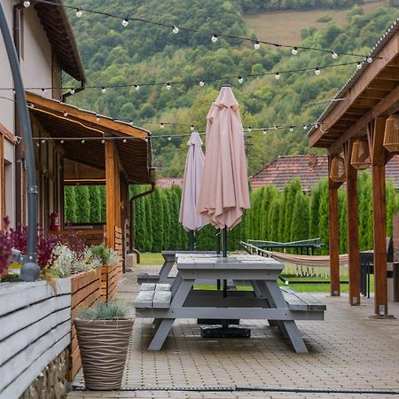 فندق Montana 219 Valea Drăganului المظهر الخارجي الصورة