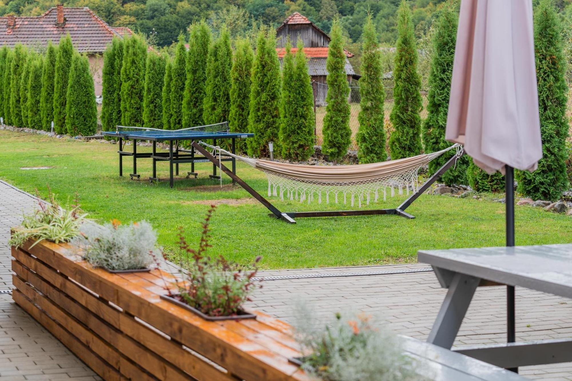 فندق Montana 219 Valea Drăganului المظهر الخارجي الصورة